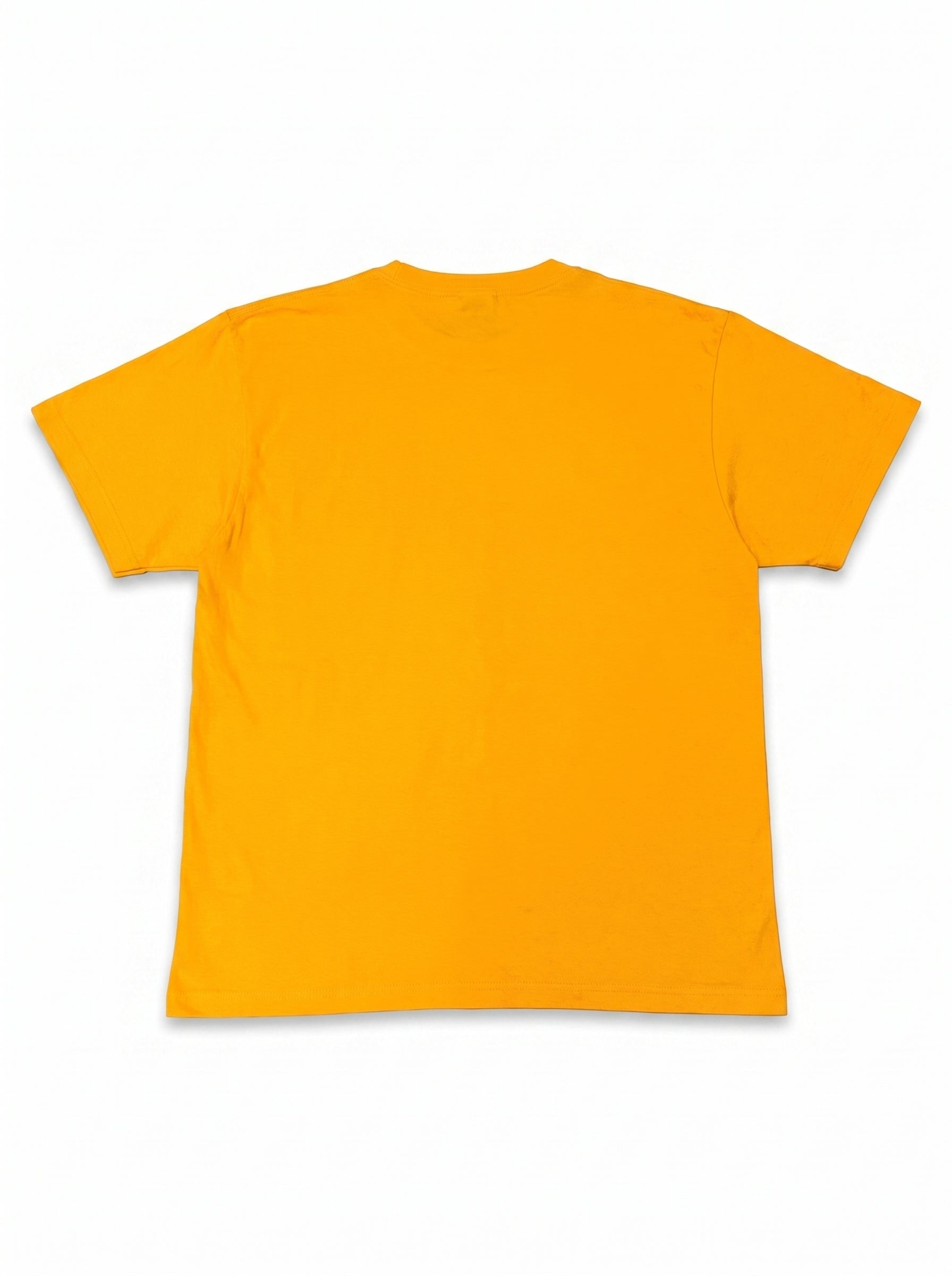 flatlay_back-var1
