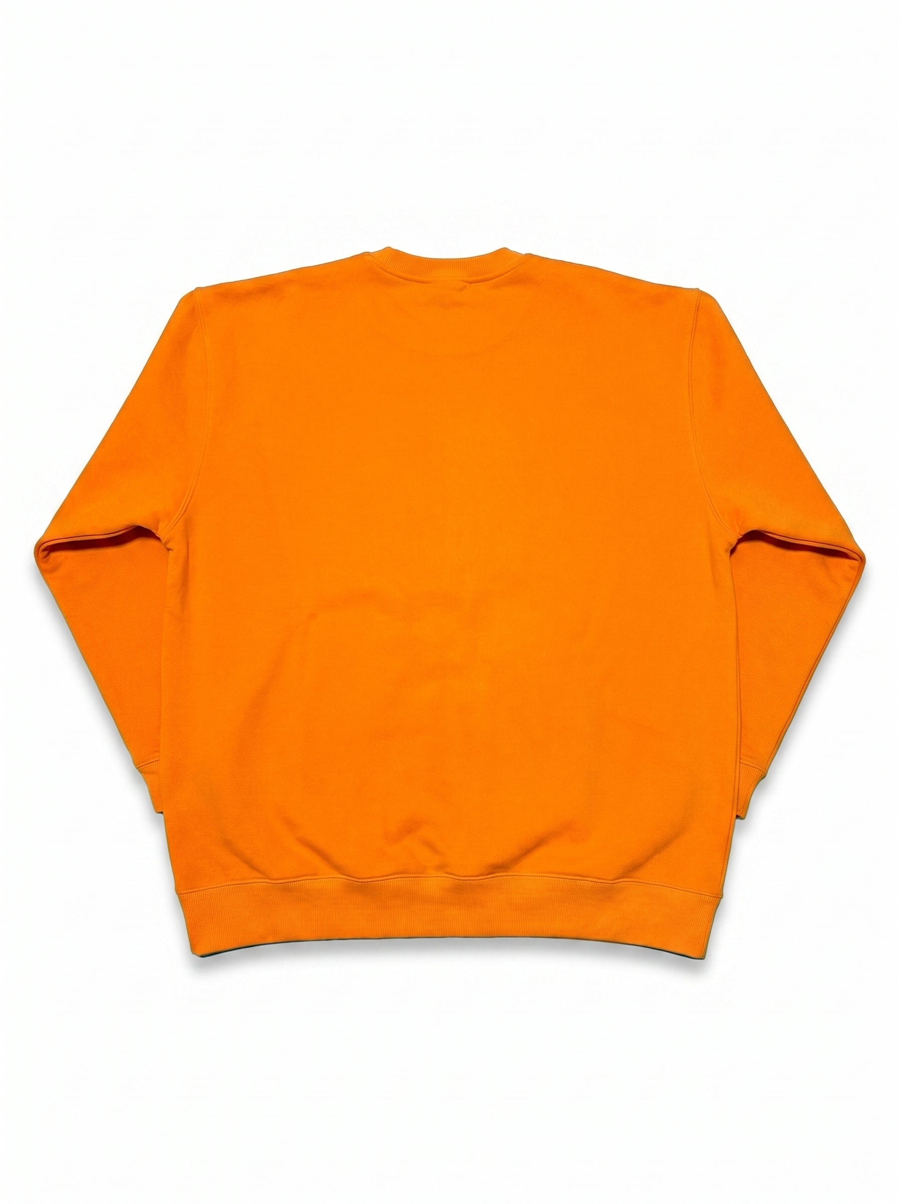 flatlay_back-var1