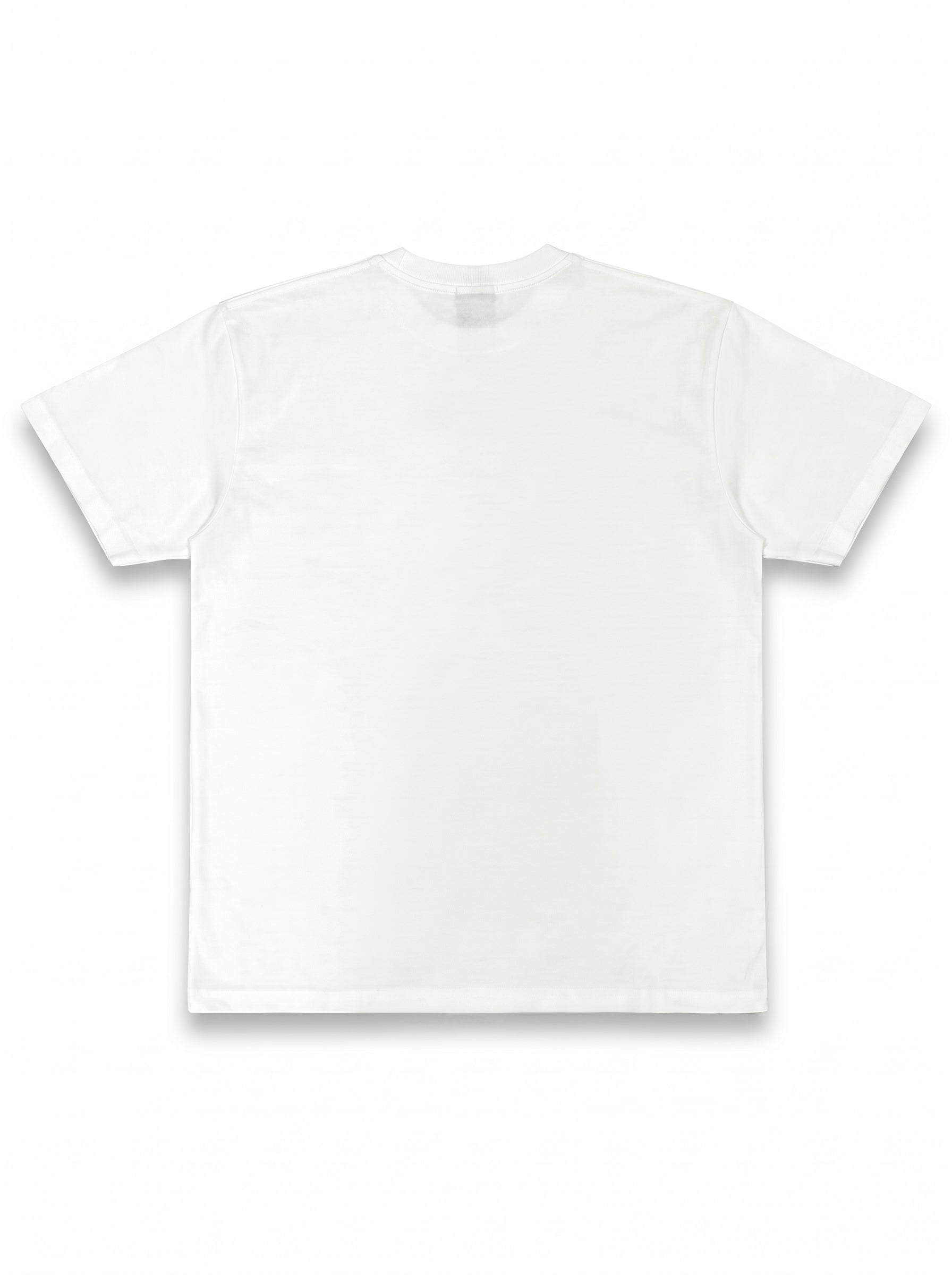 flatlay_back-var2