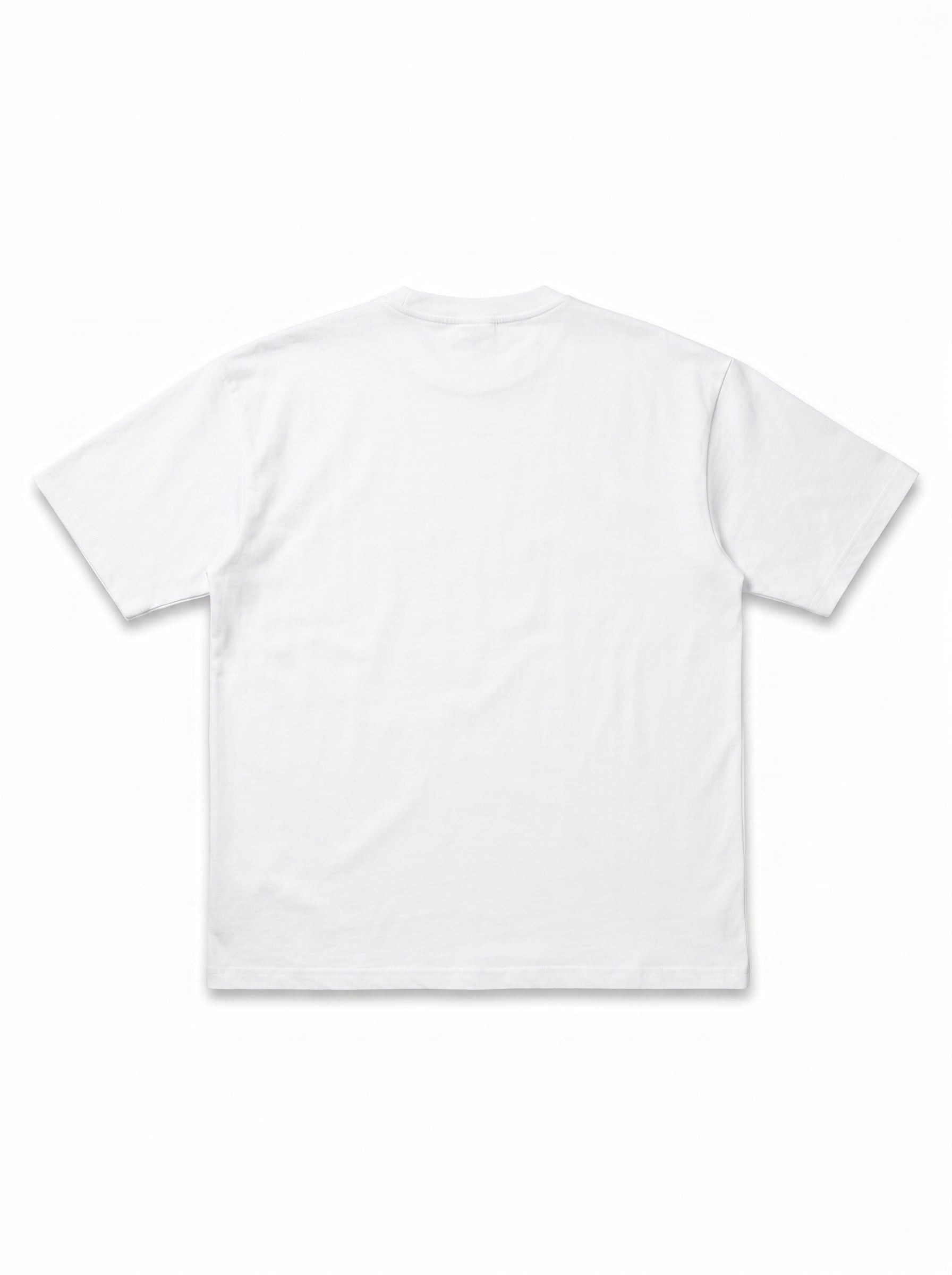 flatlay_back-var2