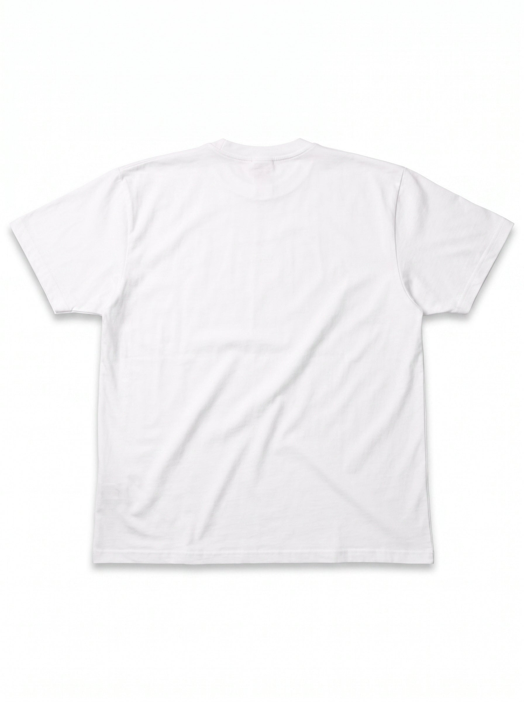 flatlay_back-var2