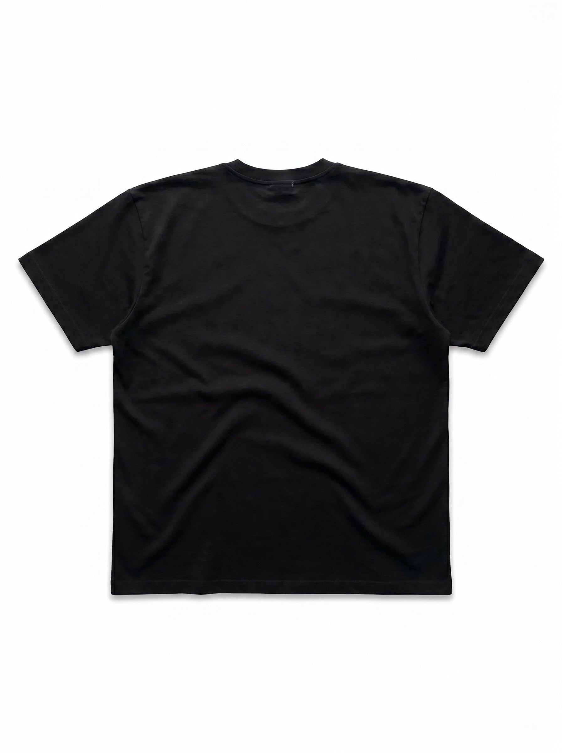 flatlay_back-var2
