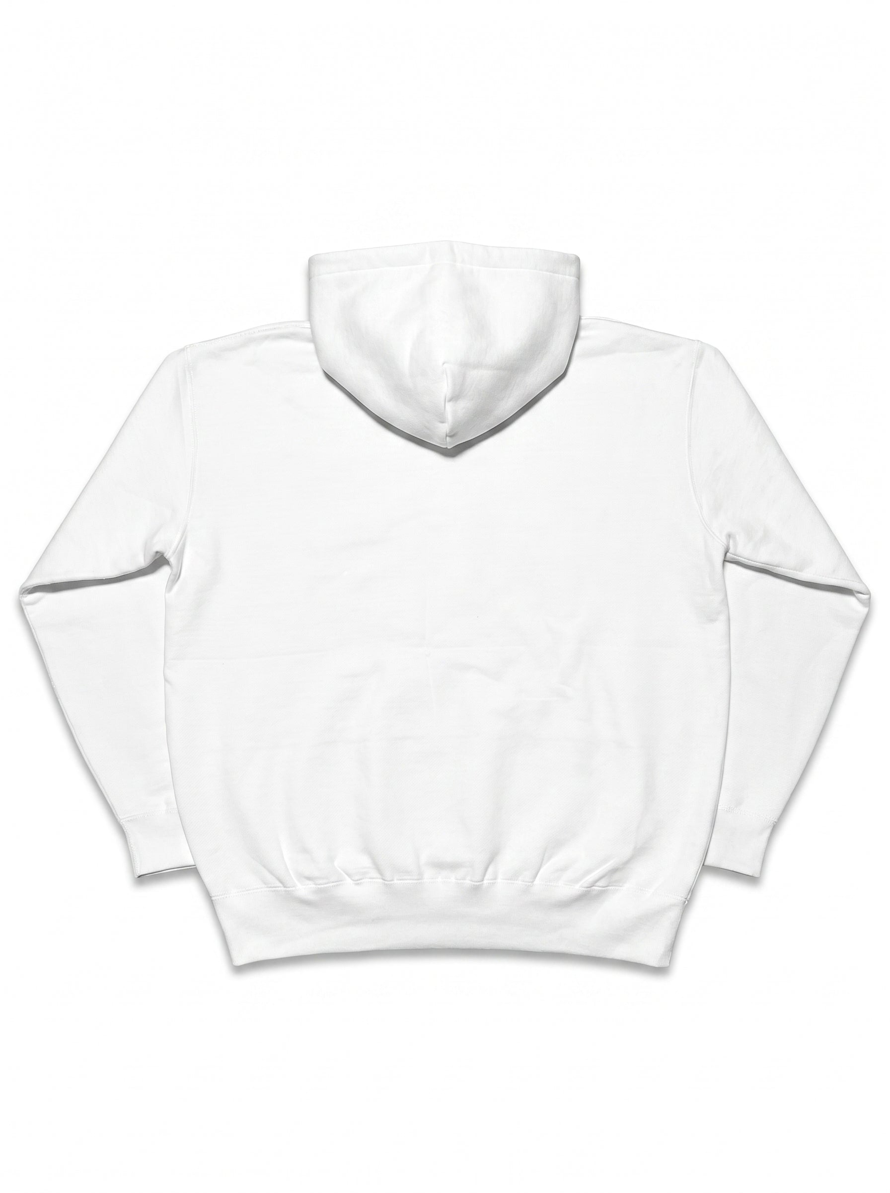 flatlay_back-var2