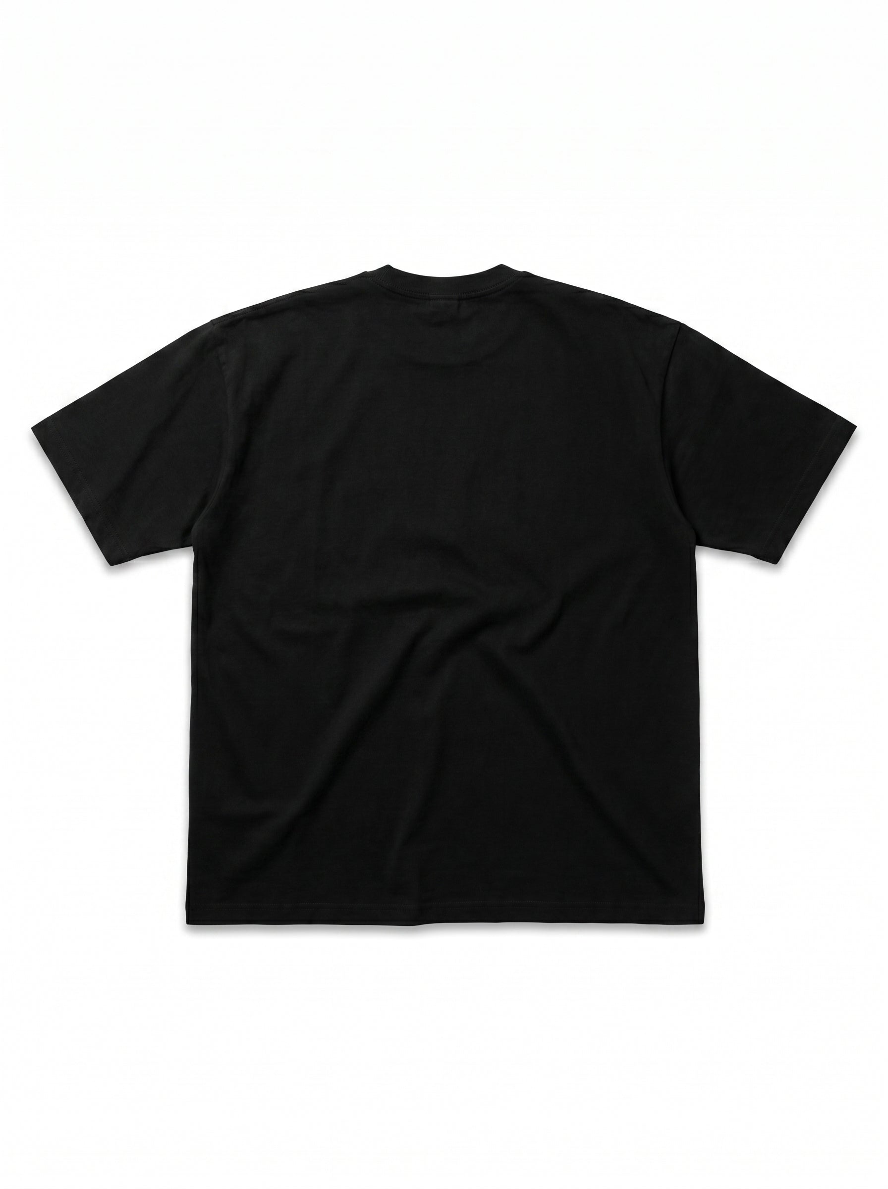 flatlay_back-var3