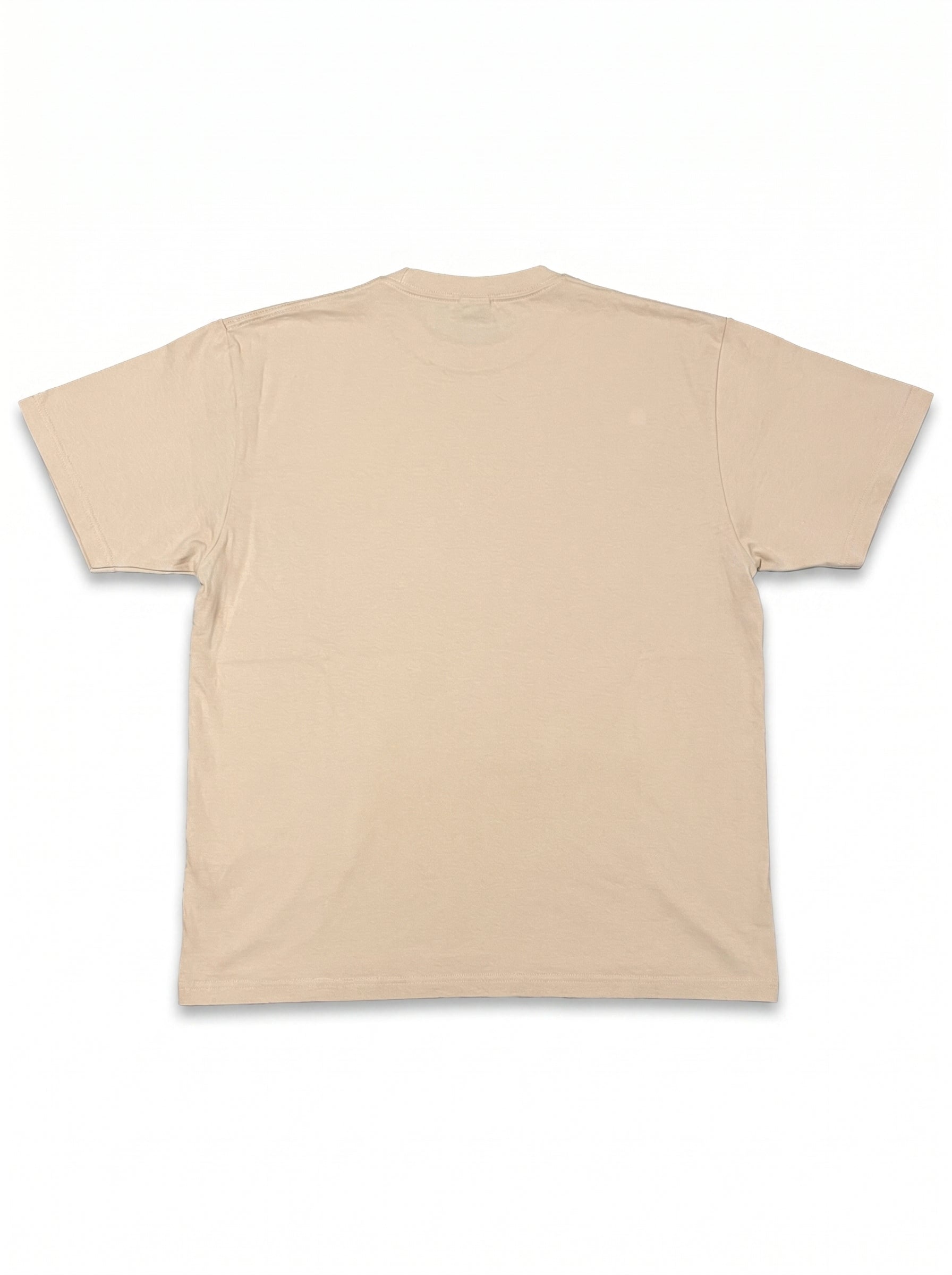 flatlay_back-var3