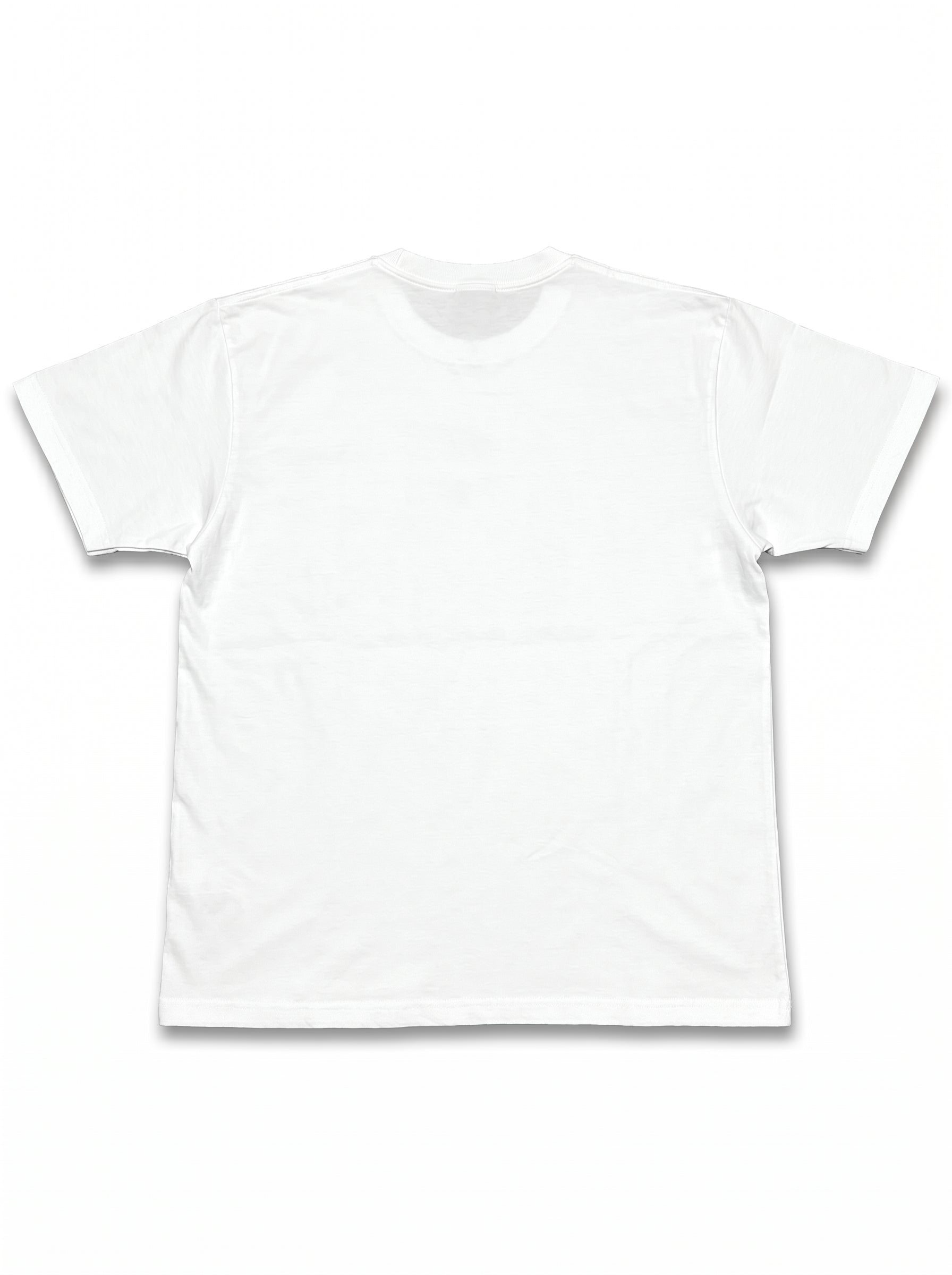 flatlay_back-var4