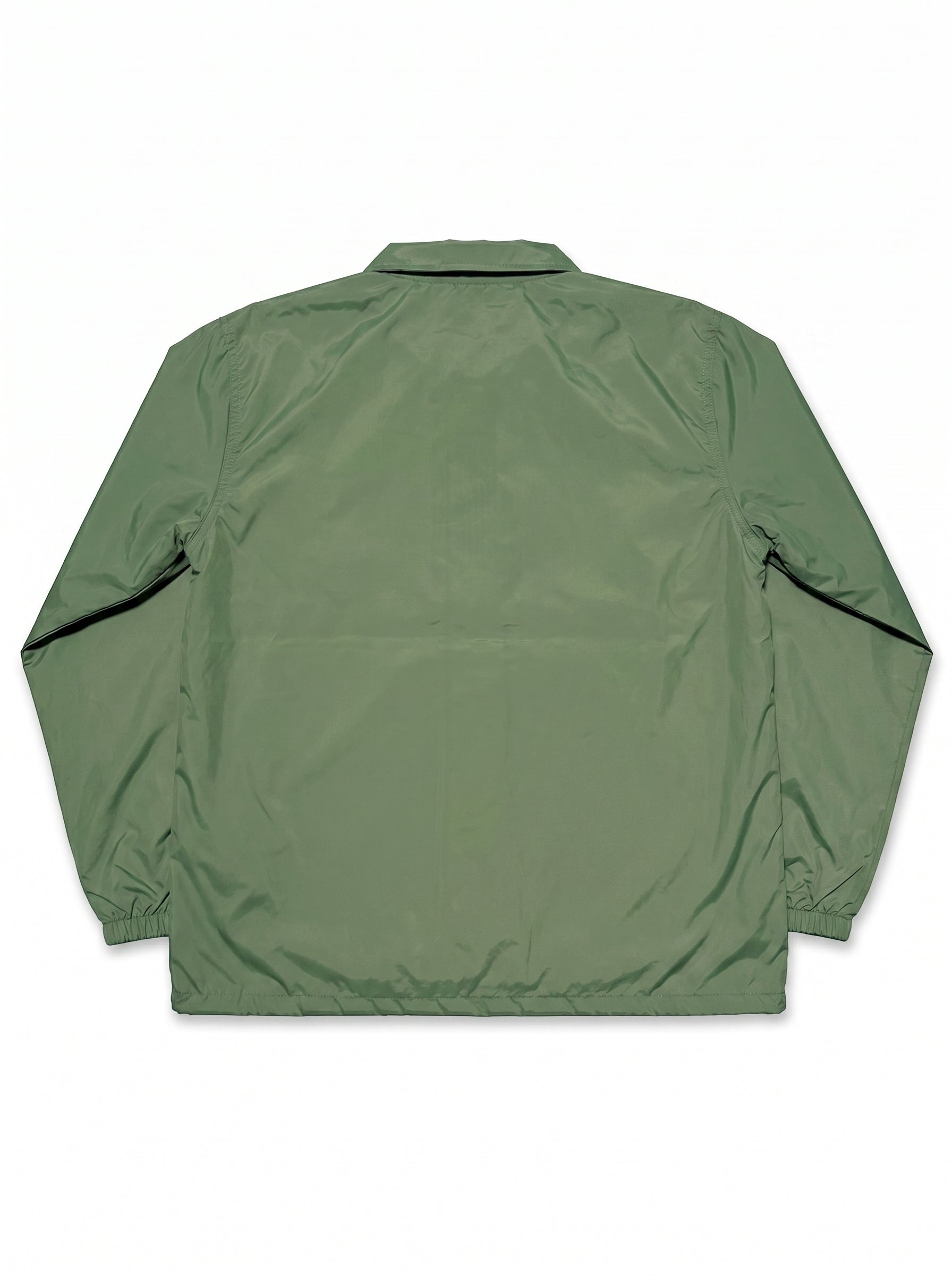 flatlay_back-var4
