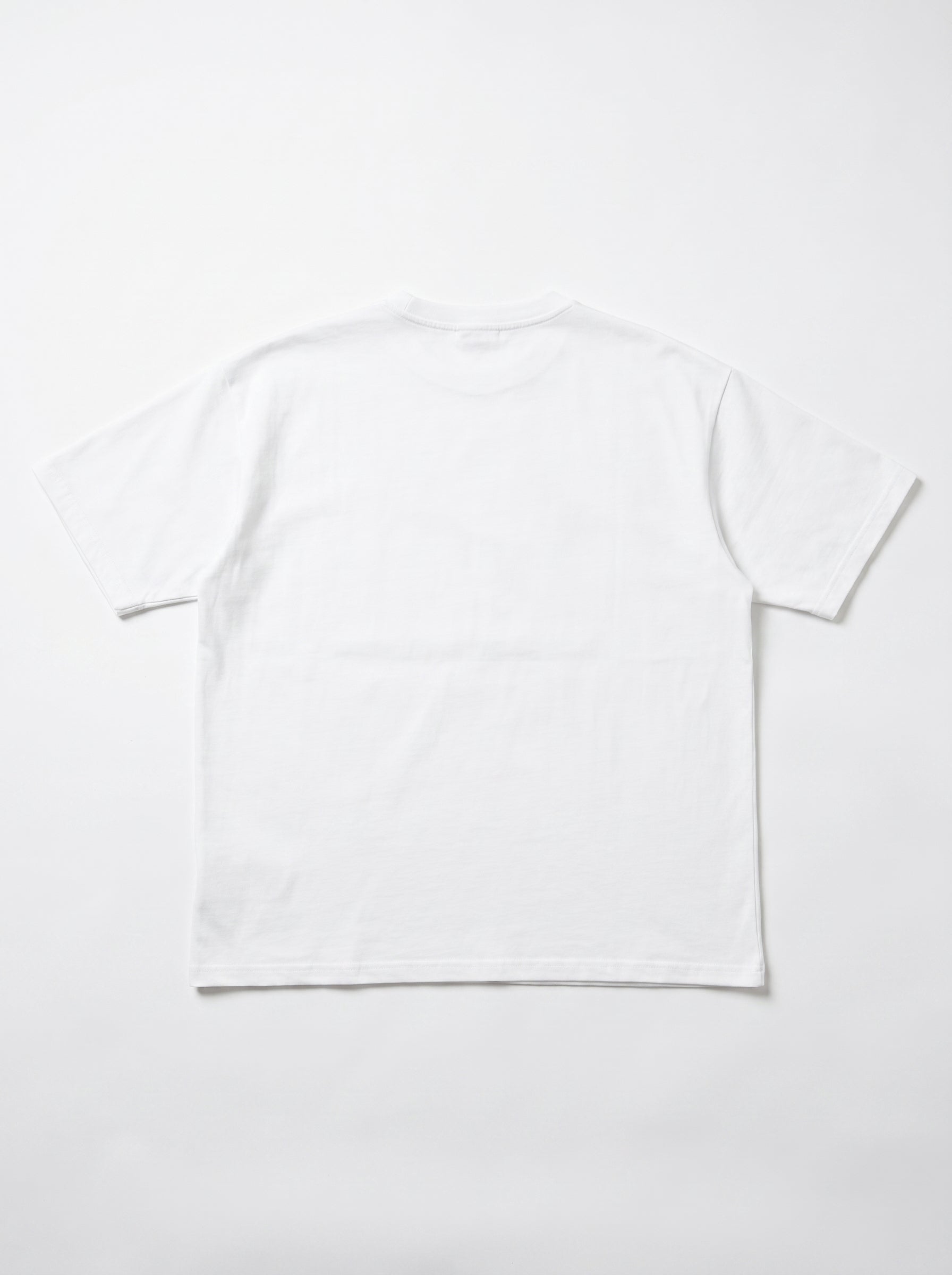 flatlay_back-var4