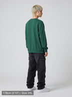 model_PS-A-1_back-angle-pose-var4
