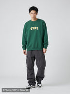 model_PS-B-1_anchor-var2